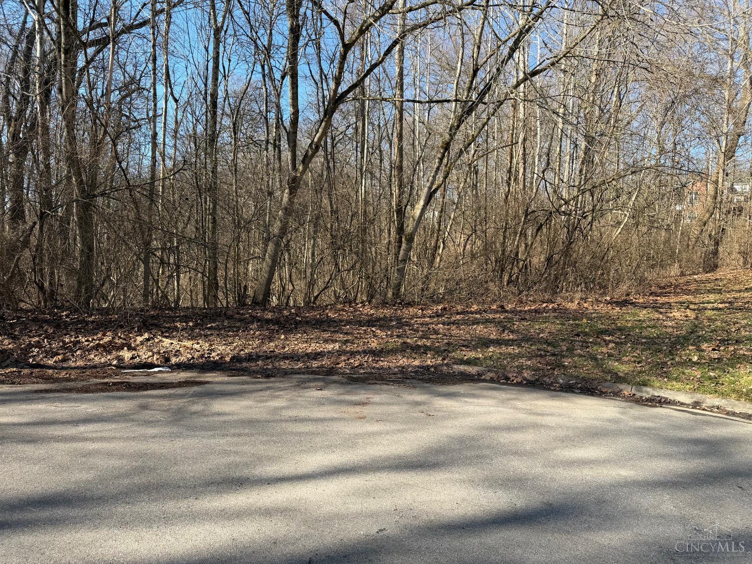 0 Watch Point Drive Cincinnati, OH 45230 - Photo 1 of 5