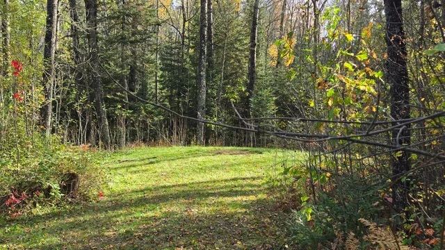 $149,000 | 7178 Gold Mine Road, Orr, MN 55771