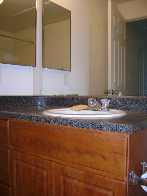 909 East Camelback Road, Unit 2001 Phoenix, AZ 85014 - Photo 4 of 10 Bath