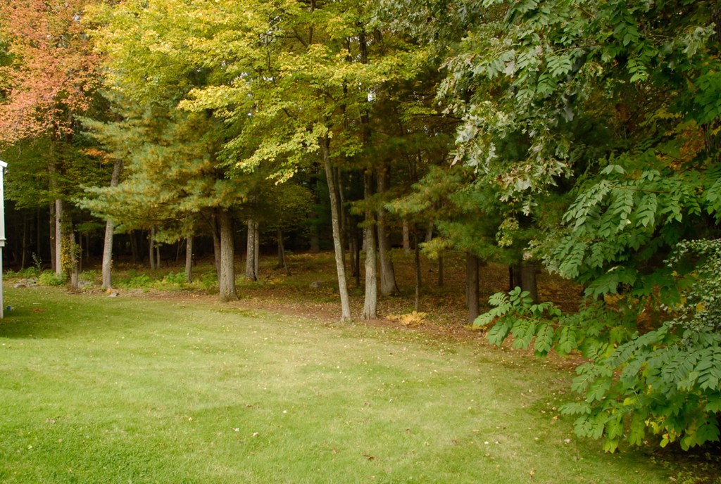 50 Lehigh Road Needham, MA 02492 - Photo 11 of 12