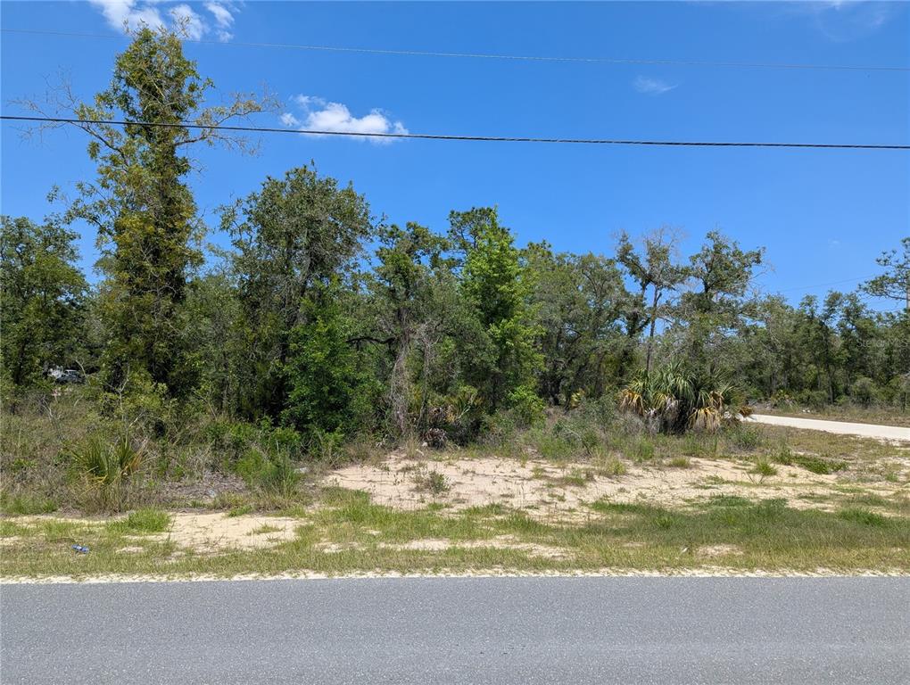 Goldfinch Road Weeki Wachee, FL 34614 - Photo 5 of 10 Gallery Image 5