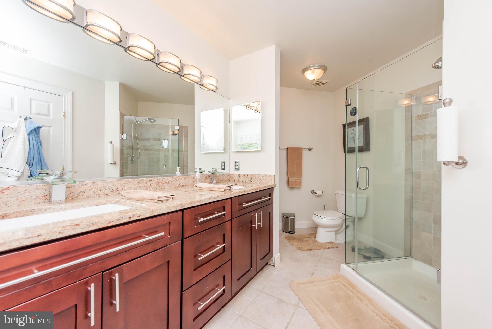 3250 Breckenridge Way Riva, MD 21140 - Photo 24 of 54 Master Bath