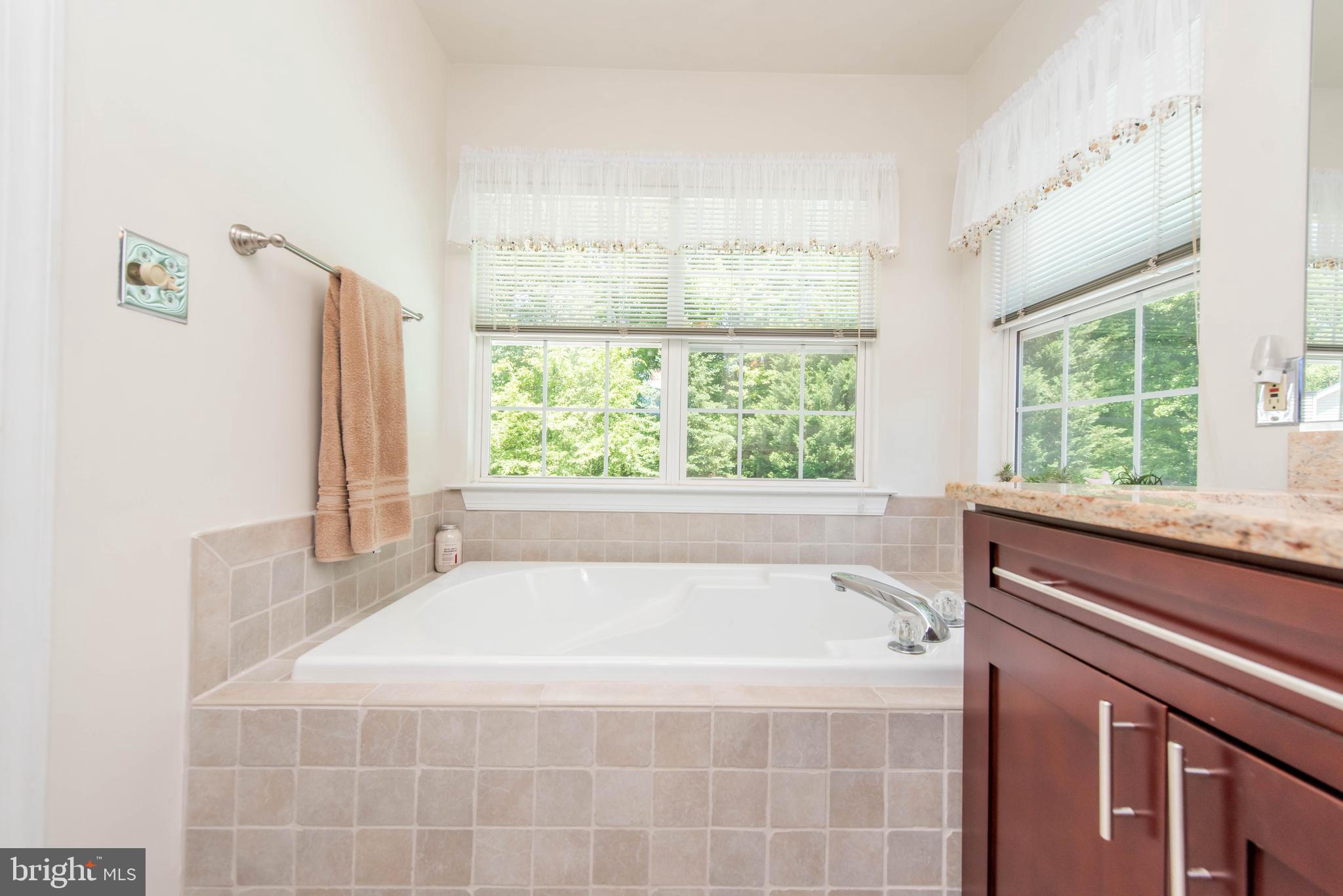 3250 Breckenridge Way Riva, MD 21140 - Photo 25 of 54 Master Bath