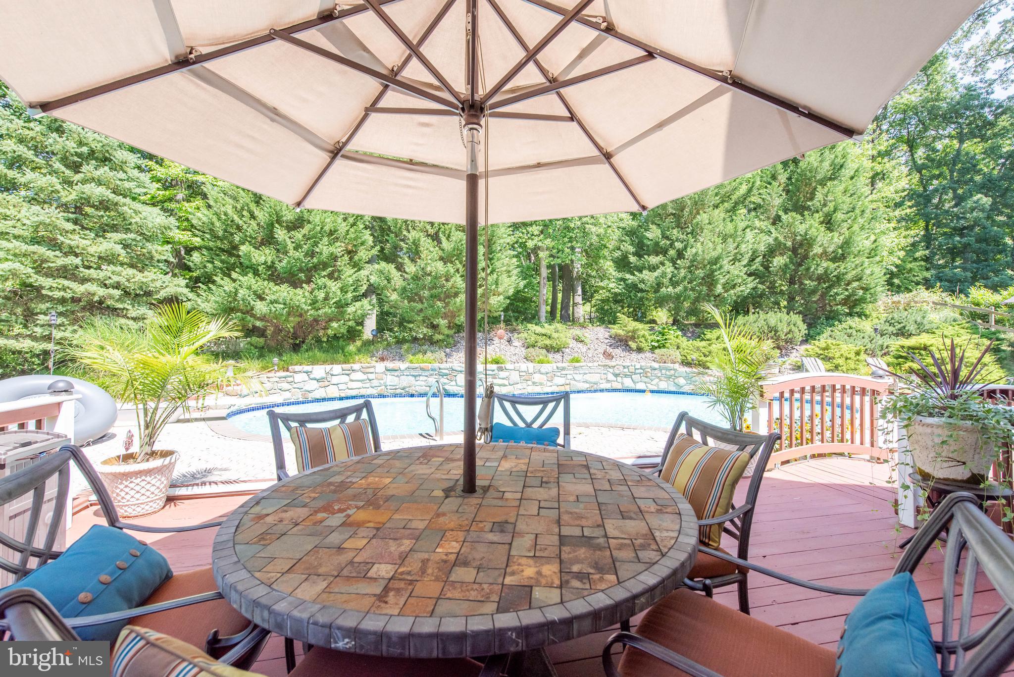 3250 Breckenridge Way Riva, MD 21140 - Photo 50 of 54 Rear Patio / Pool