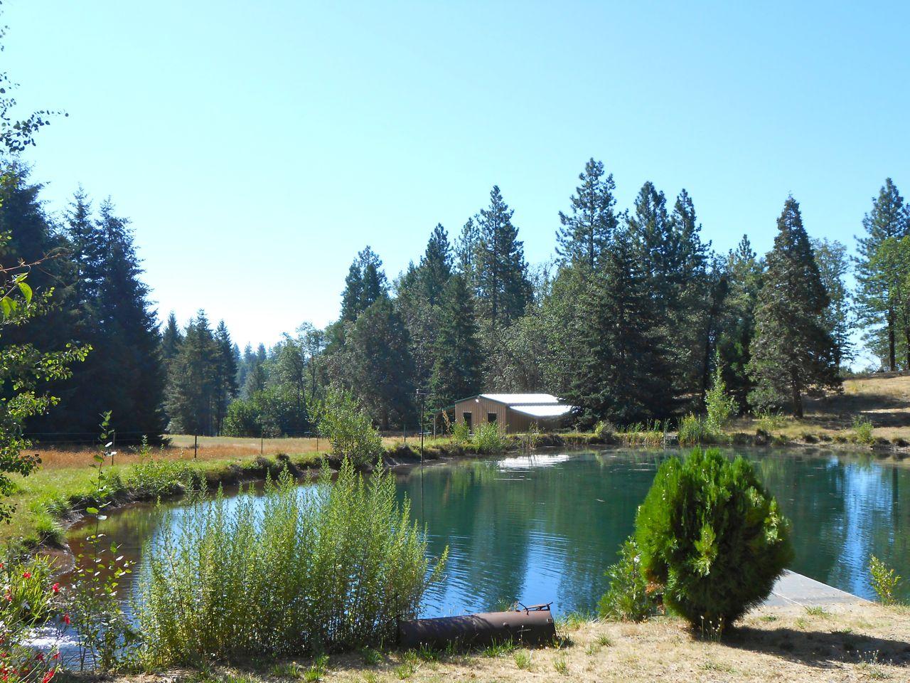 14161 Fern Road Oak Run, CA 96069 - Photo 3 of 25 Fern New10
