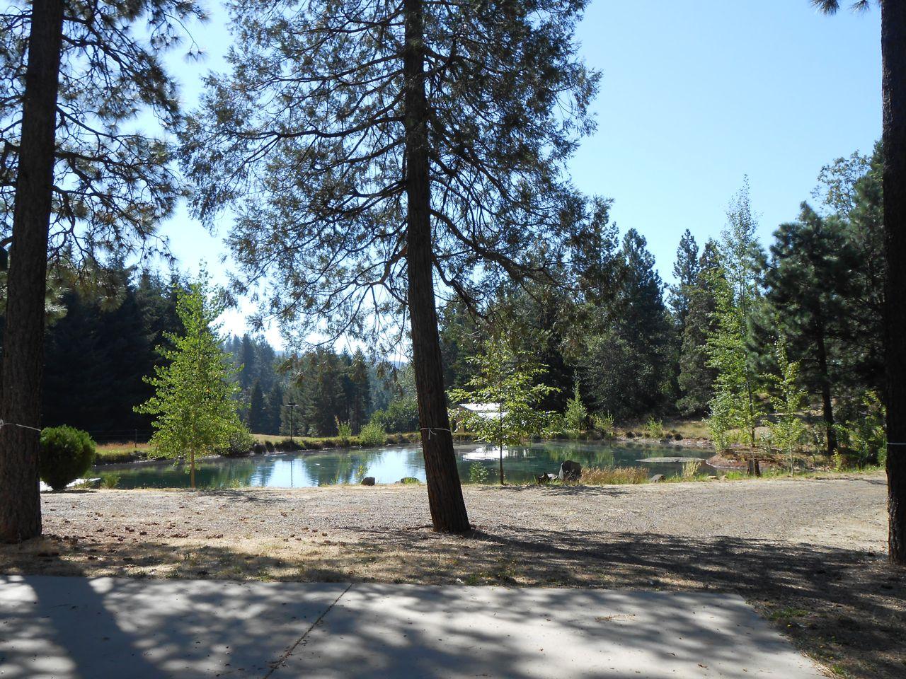 14161 Fern Road Oak Run, CA 96069 - Photo 5 of 25 Fern New02