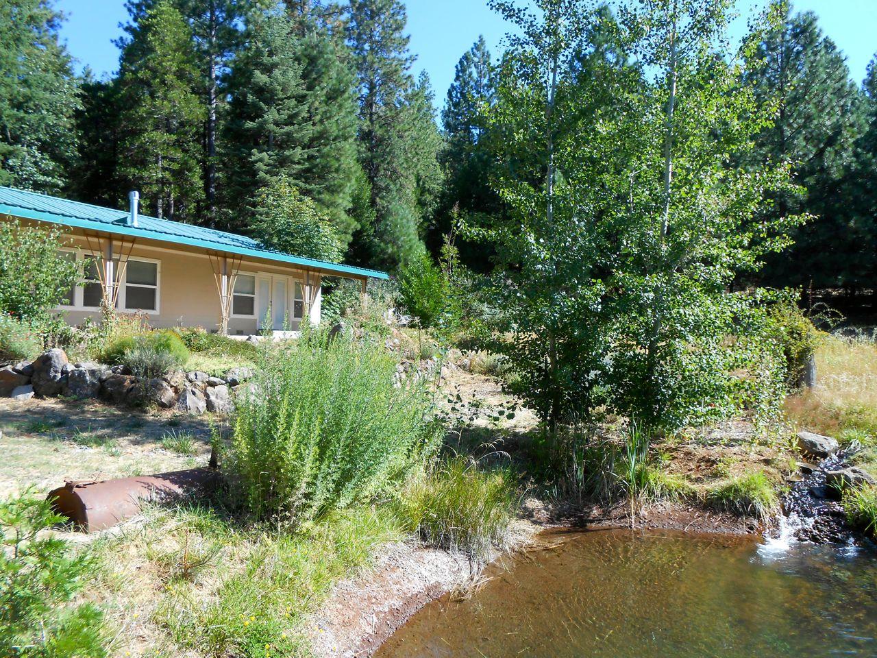 14161 Fern Road Oak Run, CA 96069 - Photo 10 of 25 Fern New09