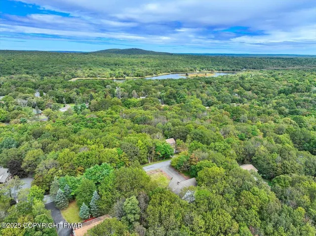 a view of a field with an ocean