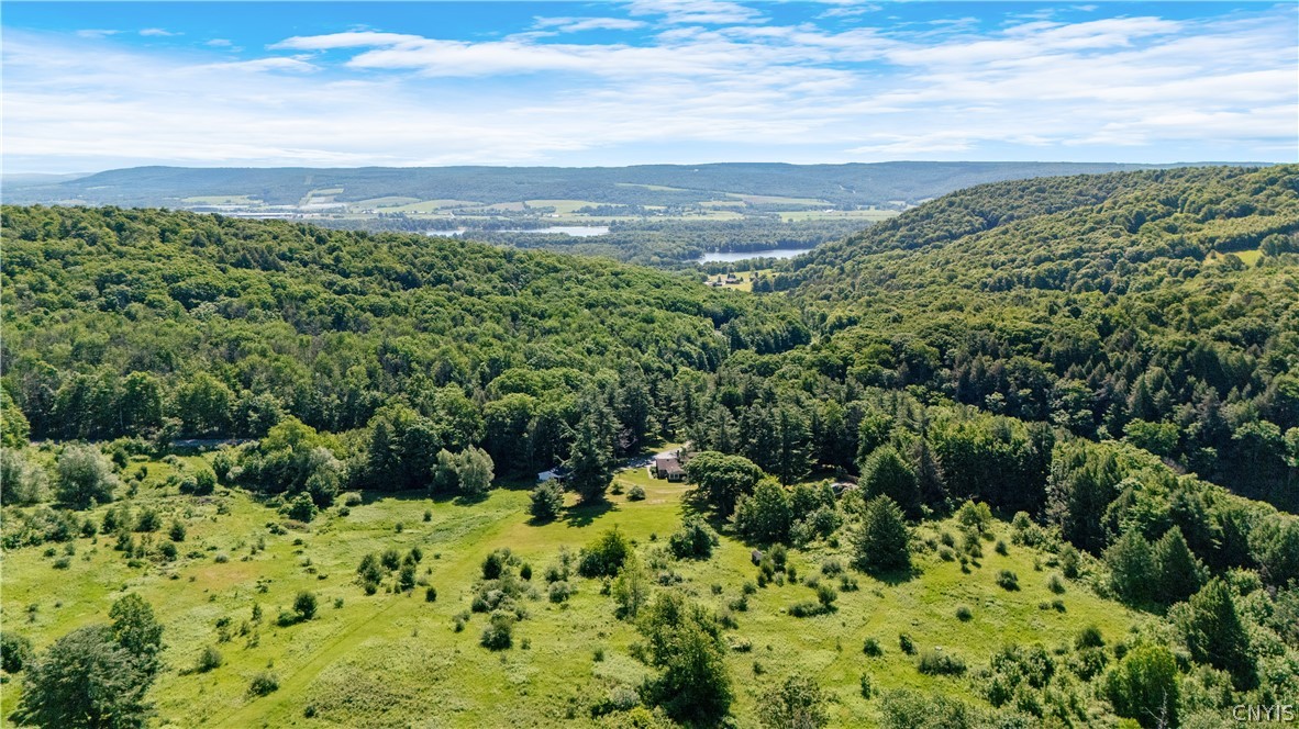 101 Curtain Road Tully, NY 13159 - Photo 4 of 47