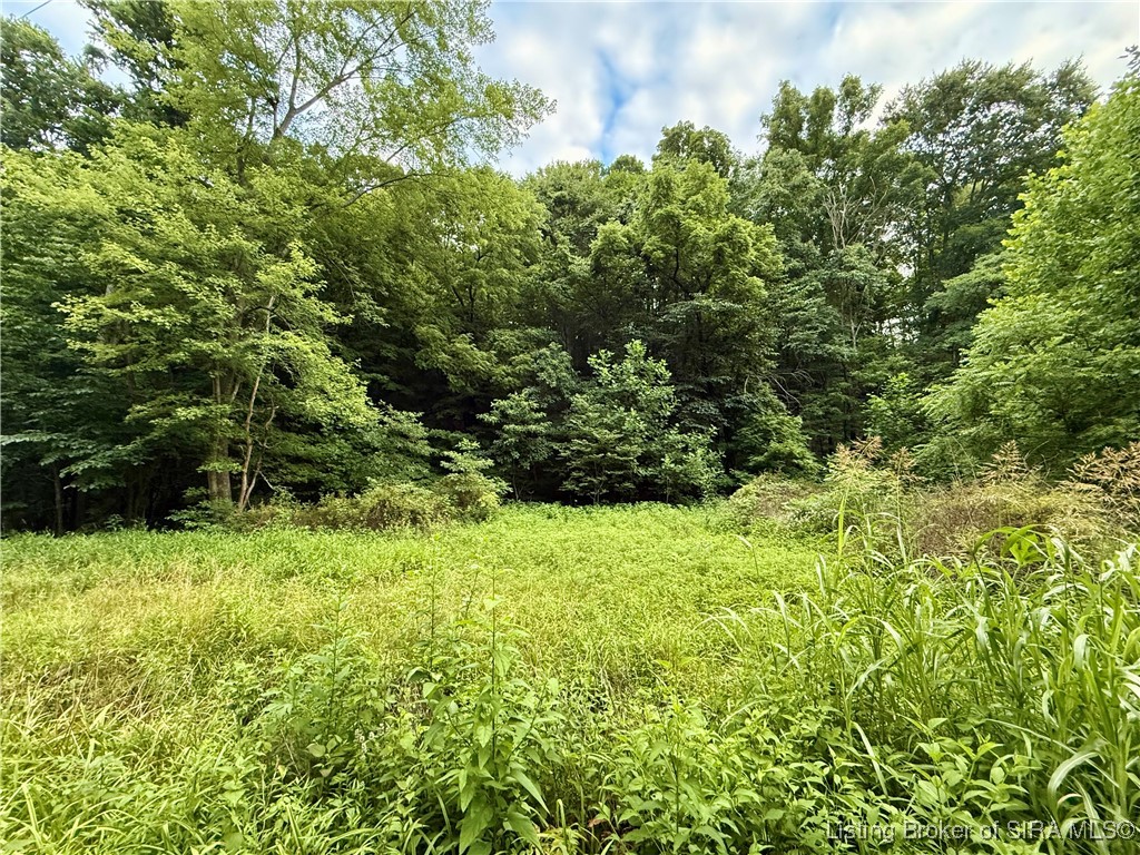 2032 West Goat Hollow Road Vallonia, IN 47281 - Photo 5 of 39