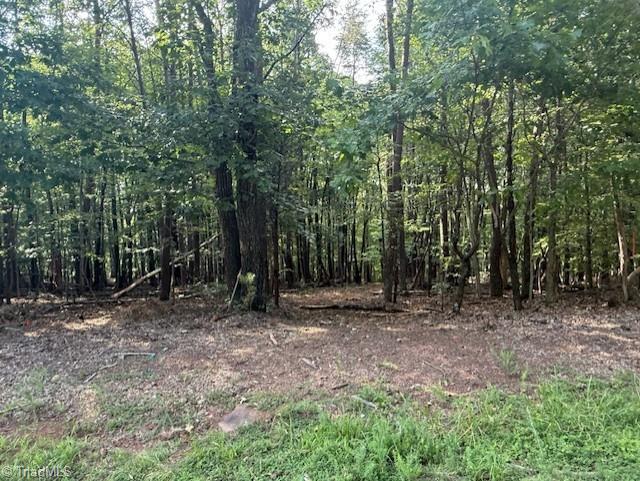 0 Cedar Mountain Road Mayodan, NC 27027 - Photo 11 of 12 Gallery Image 11
