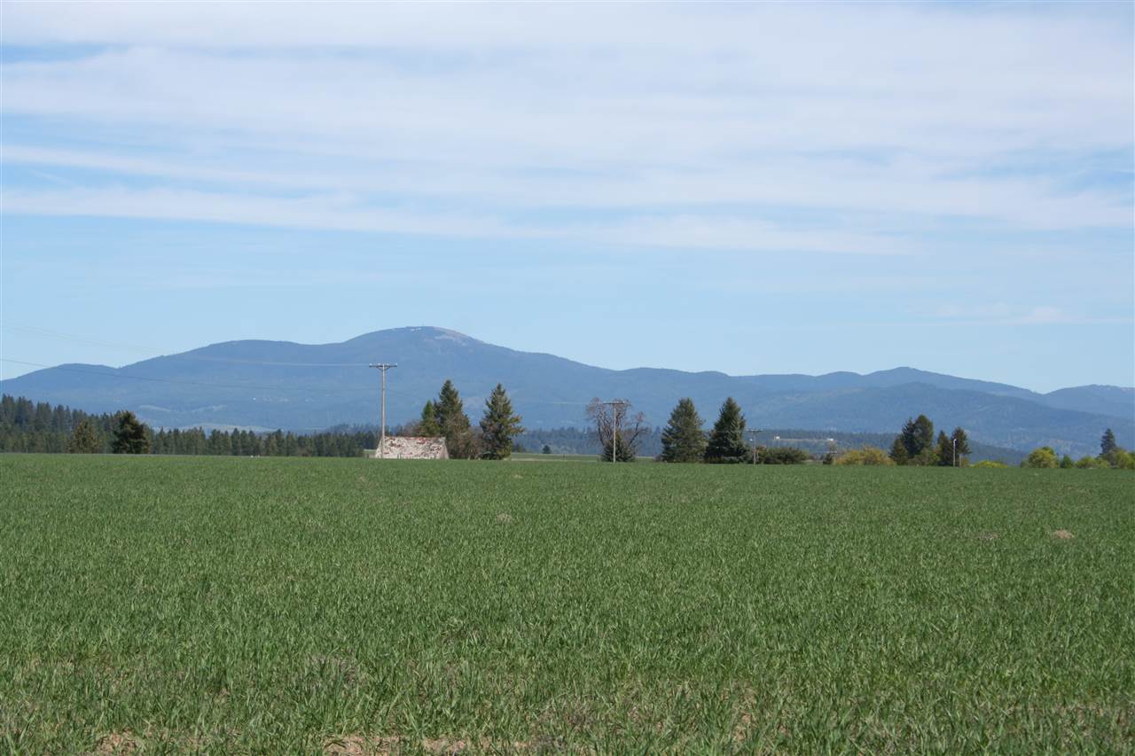 1200 West Half Moon Road, Unit LOT A Colbert, WA 99005 - Photo 16 of 20