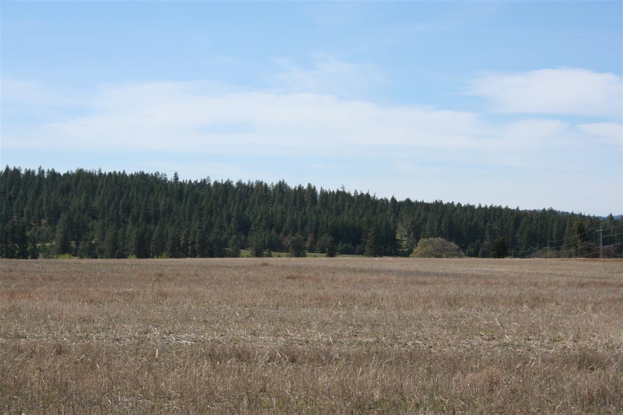 1200 West Half Moon Road, Unit LOT A Colbert, WA 99005 - Photo 18 of 20