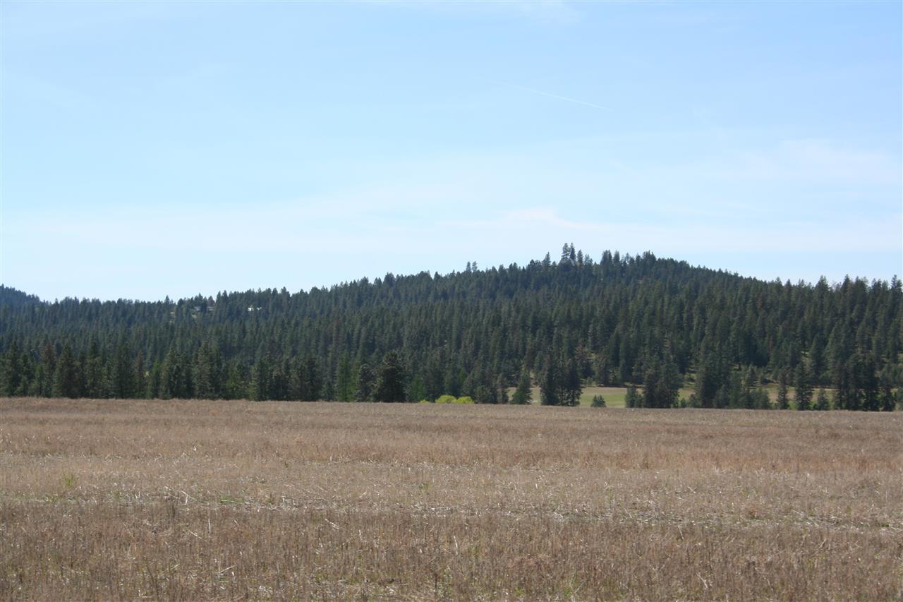 1200 West Half Moon Road, Unit LOT A Colbert, WA 99005 - Photo 19 of 20