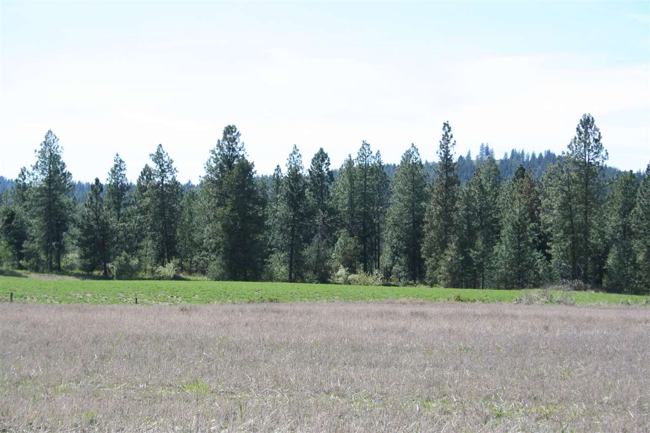 1200 West Half Moon Road, Unit LOT A Colbert, WA 99005 - Photo 20 of 20