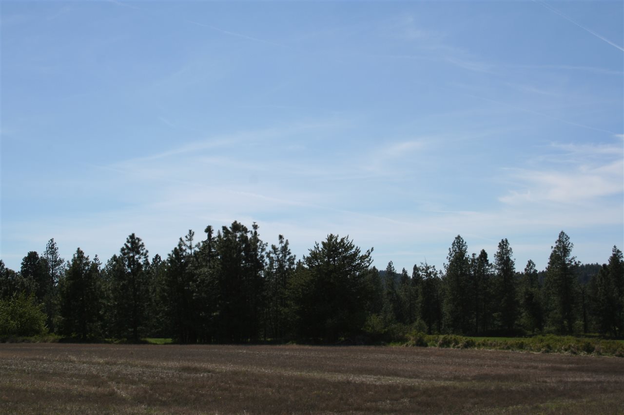 1200 West Half Moon Road, Unit LOT A Colbert, WA 99005 - Photo 3 of 20