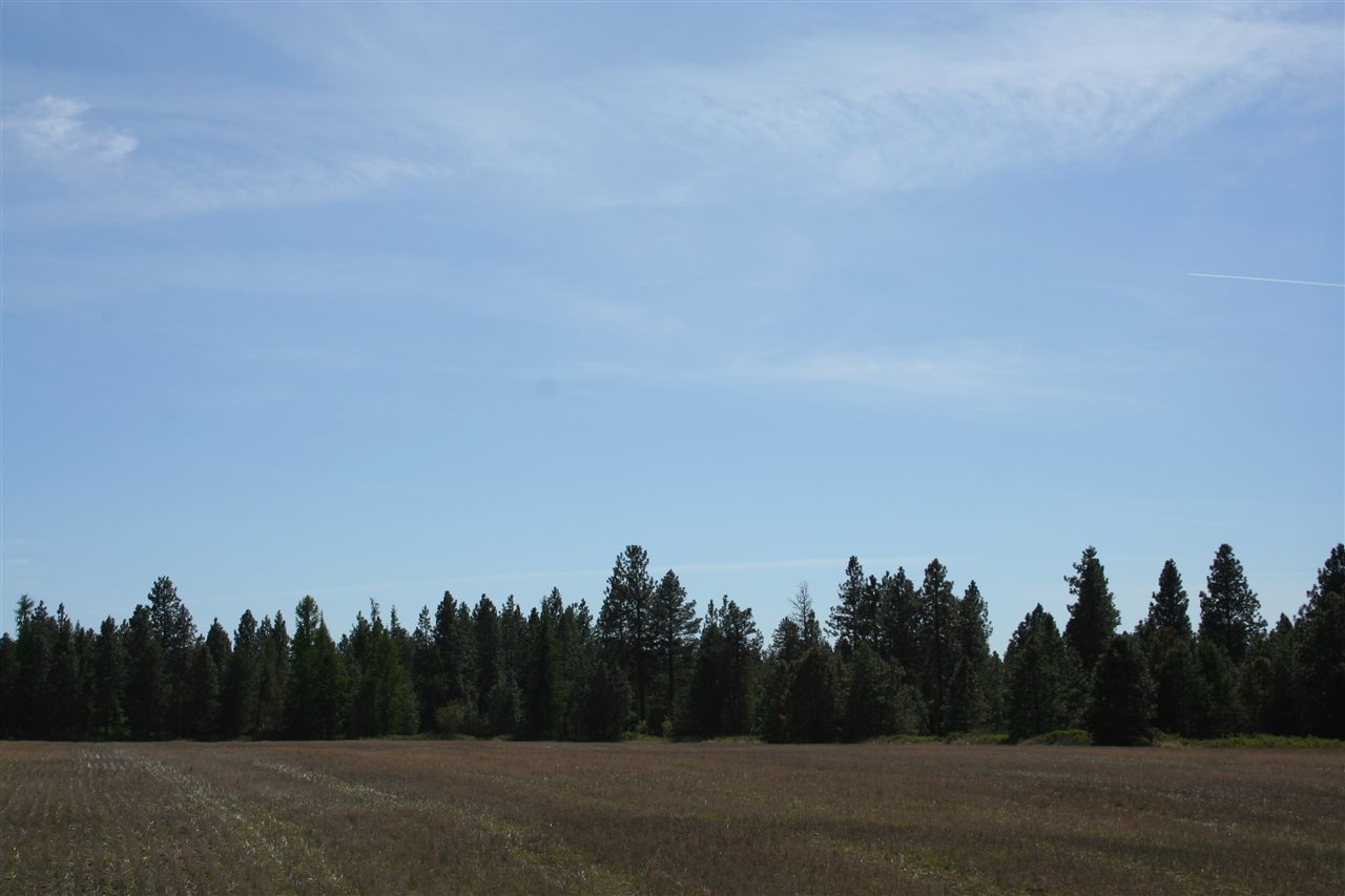 1200 West Half Moon Road, Unit LOT A Colbert, WA 99005 - Photo 4 of 20