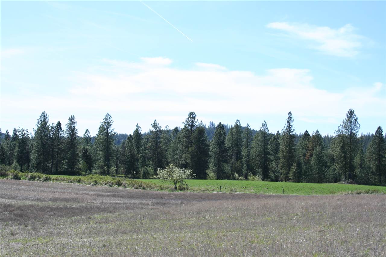 1200 West Half Moon Road, Unit LOT A Colbert, WA 99005 - Photo 5 of 20
