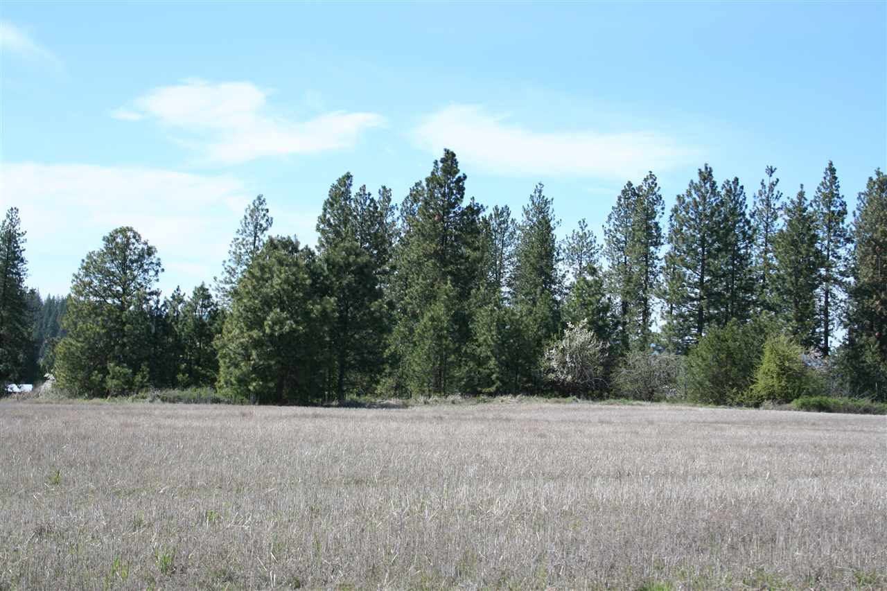 1200 West Half Moon Road, Unit LOT A Colbert, WA 99005 - Photo 6 of 20