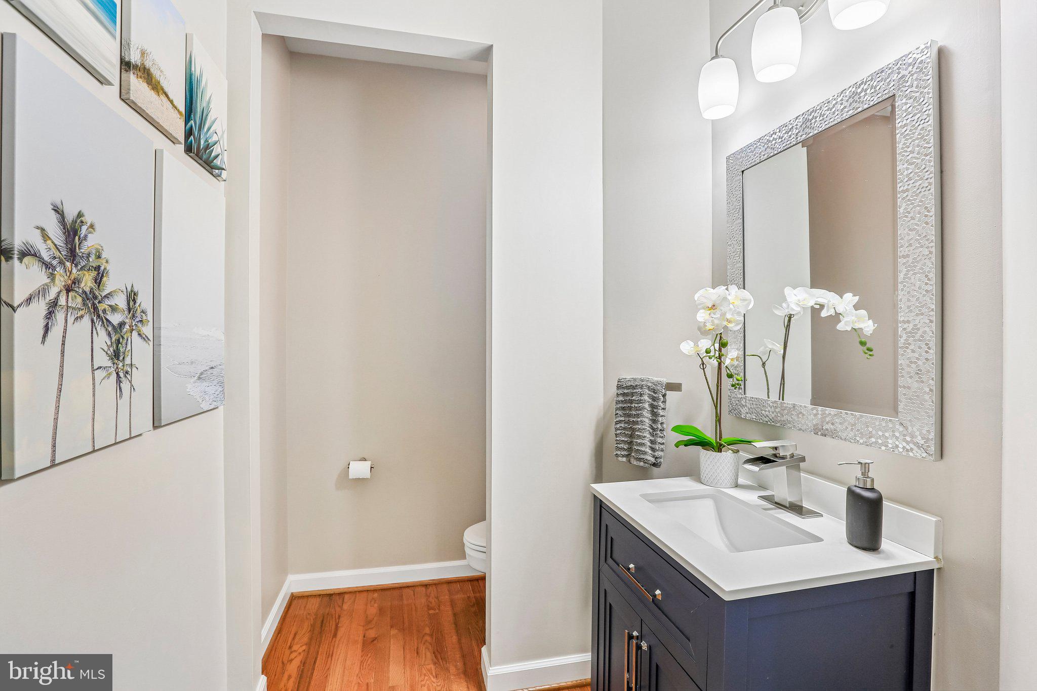 9308 Harrisons Farm Way Gaithersburg, MD 20882 - Photo 27 of 92 Guest powder room.