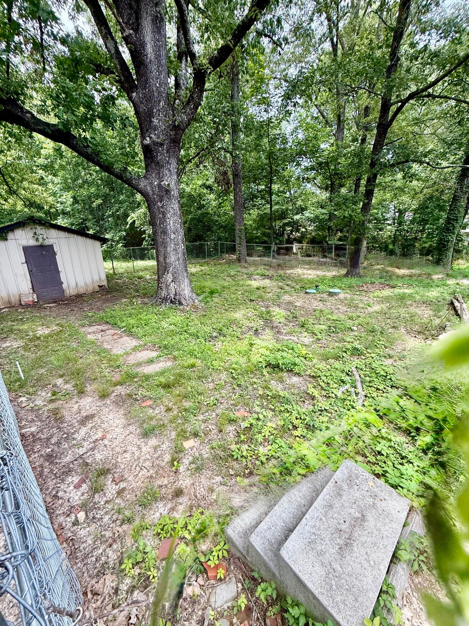 30095 Andrews Road Nettleton, MS 38858 - Photo 15 of 17 IMG_3411