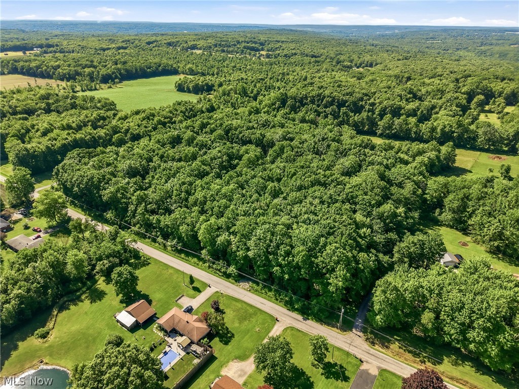 7220 Drake State Line Road Burghill, OH 44404 - Photo 10 of 11