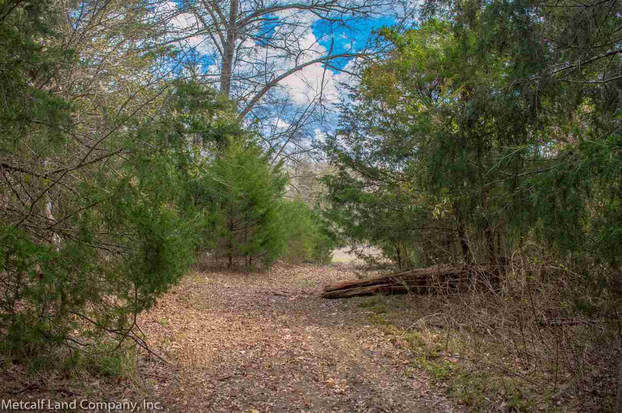 1452 Meadow Woods Road Buffalo, SC 29321 - Photo 24 of 30 Gallery Image 24