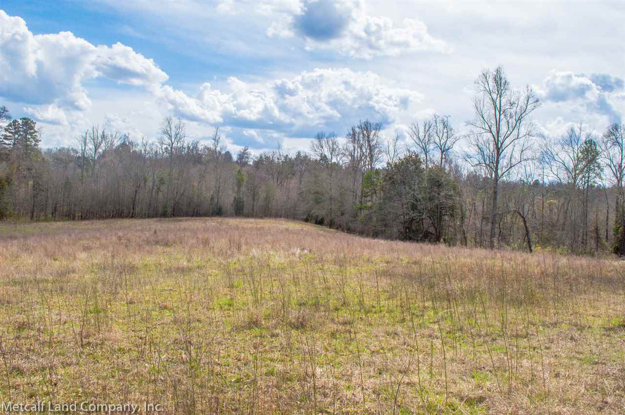 1452 Meadow Woods Road Buffalo, SC 29321 - Photo 25 of 30 Gallery Image 25