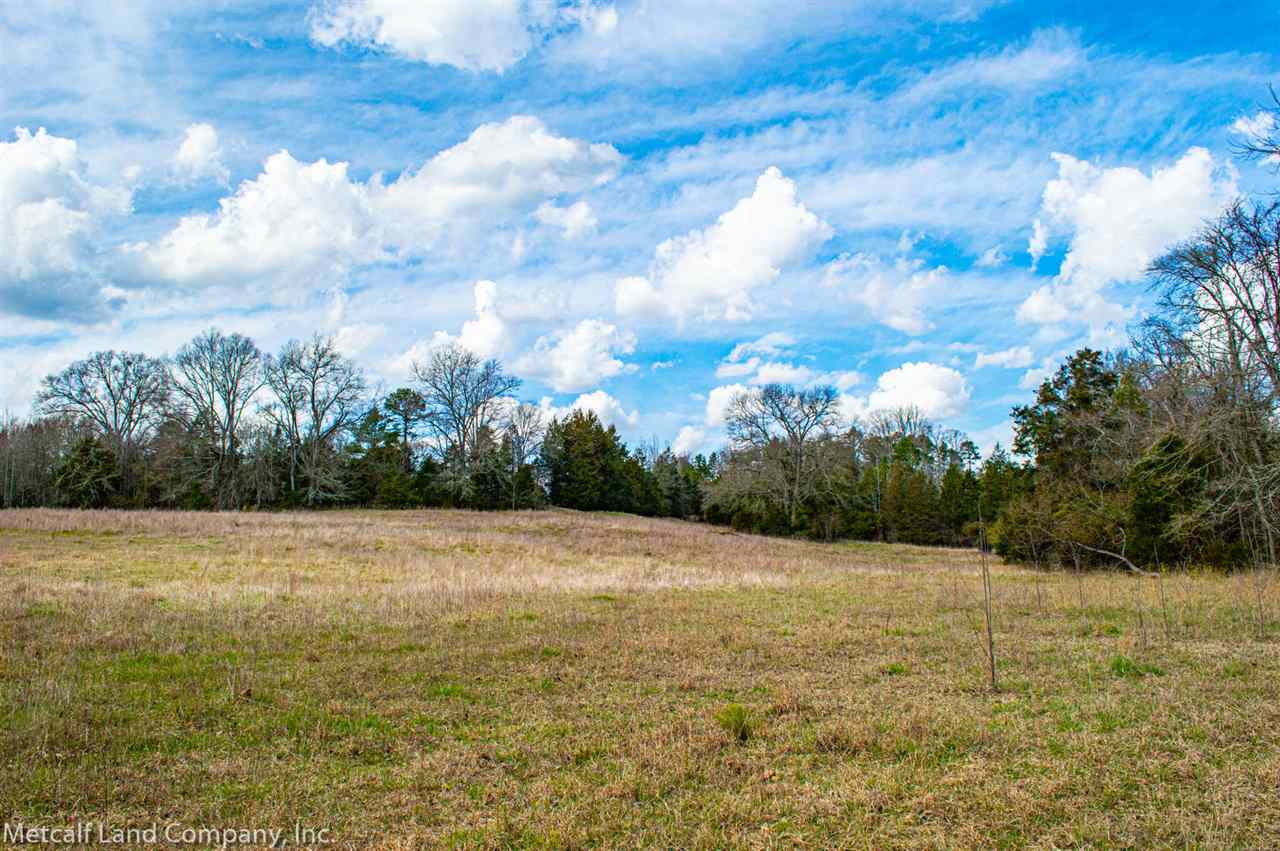1452 Meadow Woods Road Buffalo, SC 29321 - Photo 28 of 30 Gallery Image 28