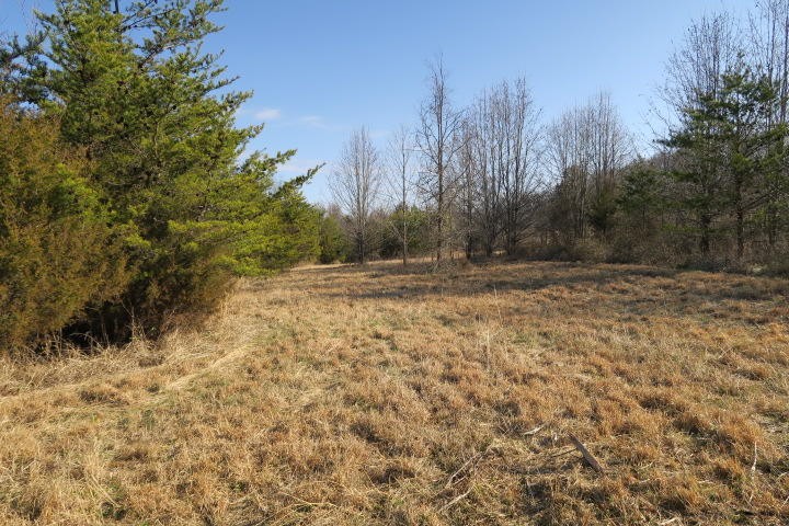 3726 Freels Road Friendsville, TN 37737 - Photo 17 of 26 Gallery Image 17