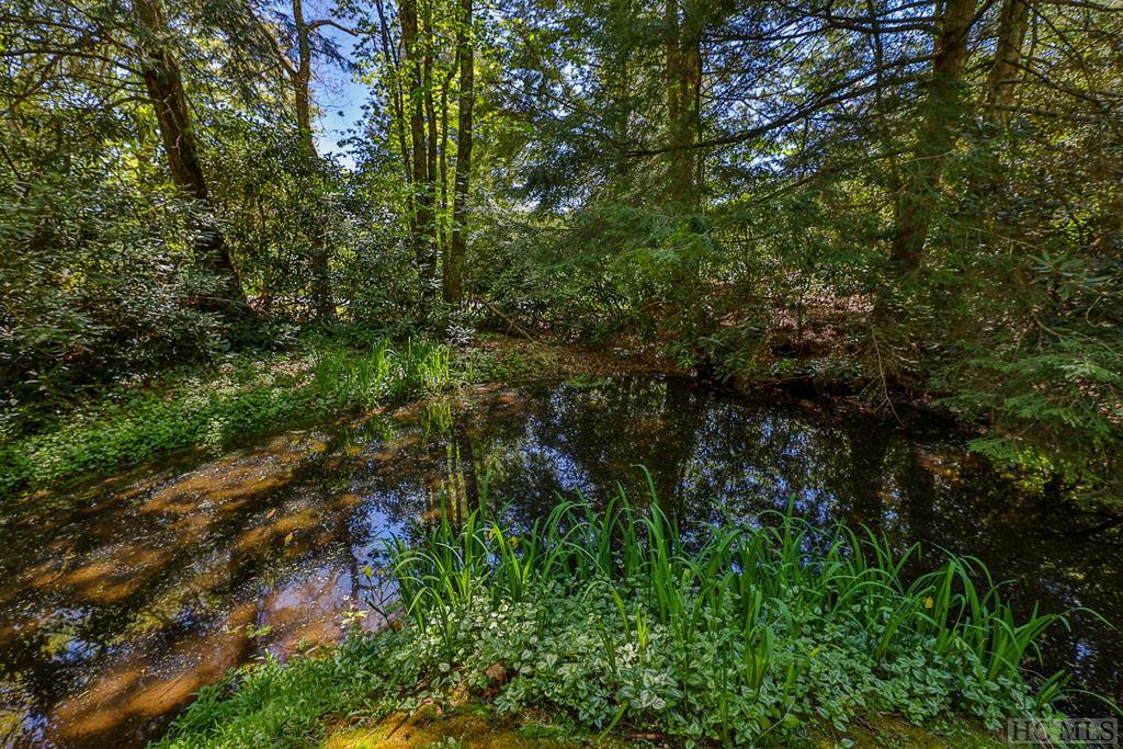 12 Azalea Road Highlands, NC 28741 - Photo 35 of 41 Gallery Image 35