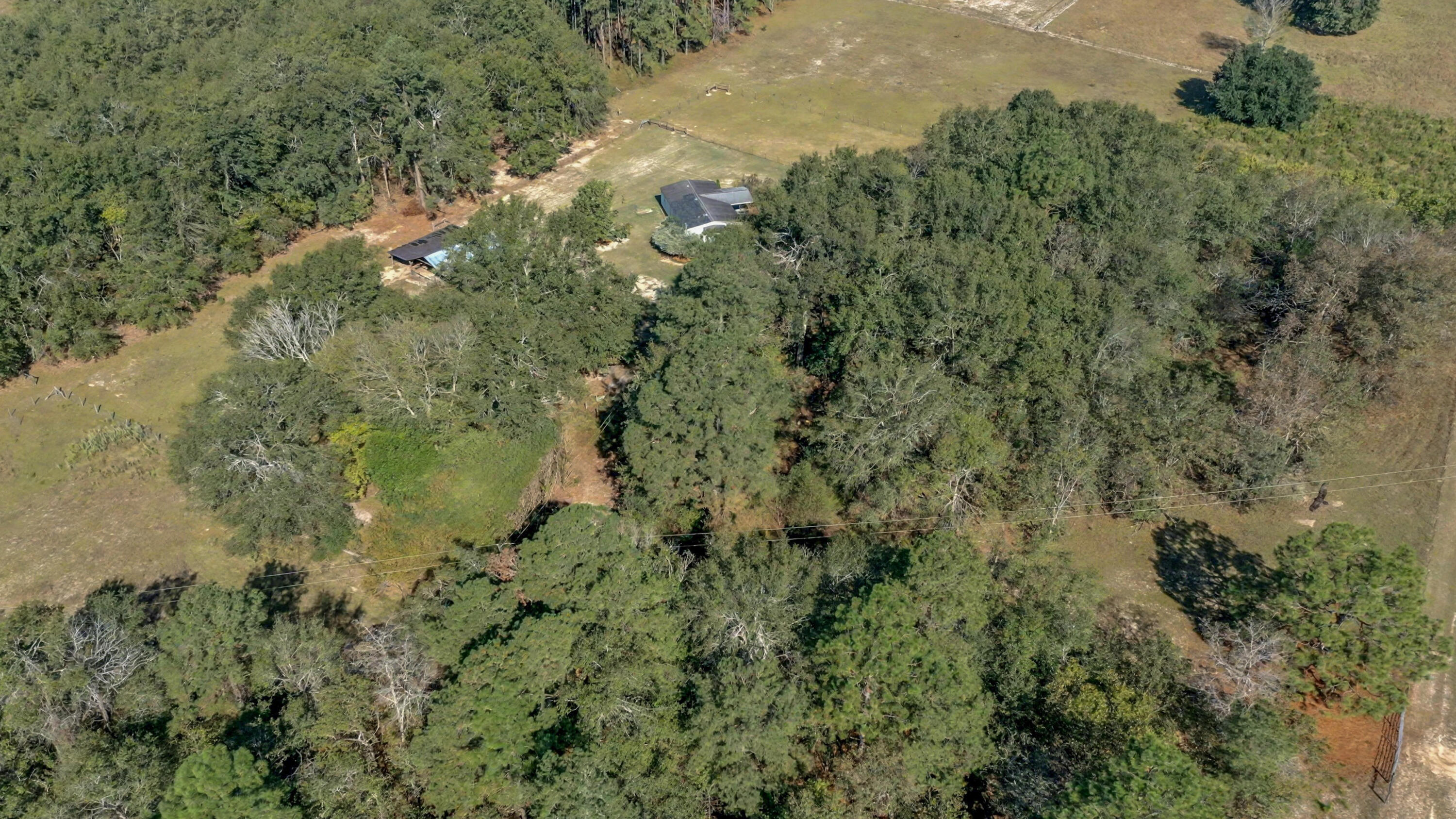 448 Blossom Road Barnwell, SC 29812 - Photo 12 of 39