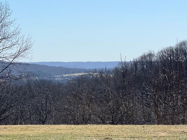 1443 Ridge Road Wildwood, MO 63021 - Photo 6 of 6 Gallery Image 6