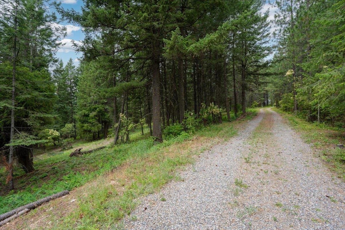 28420 Thunderhill Road Chattaroy, WA 99003 - Photo 6 of 26 Gallery Image 6