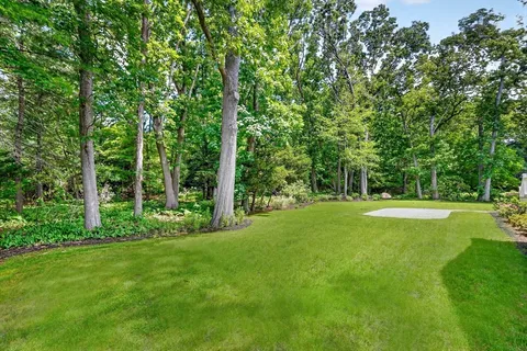 a view of a grassy field with trees in the background