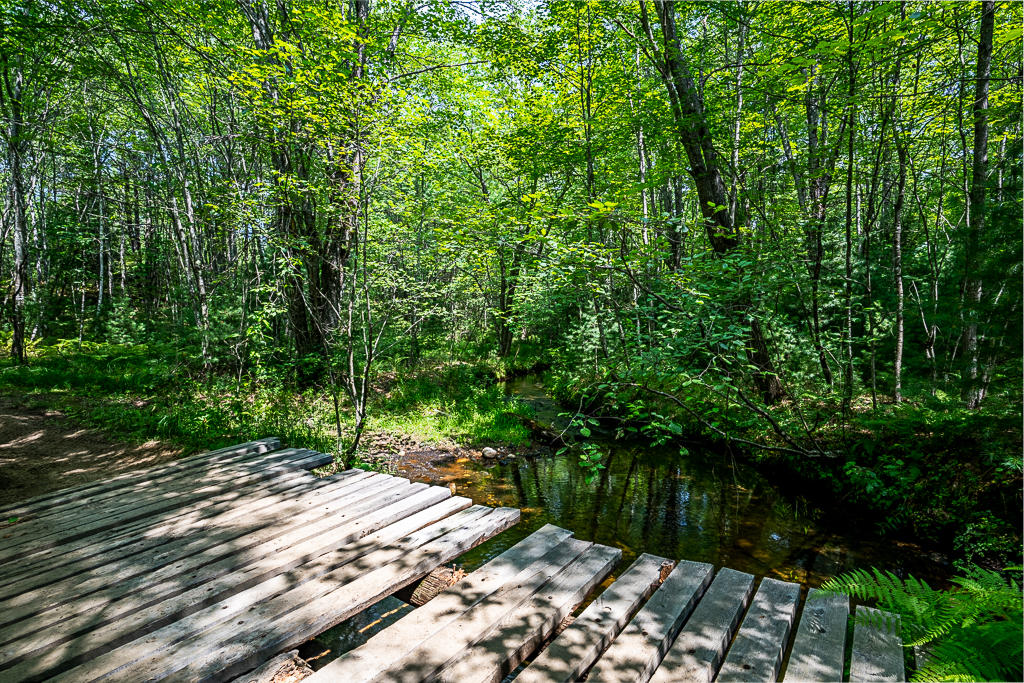 698 Townhouse Road East Waterboro, ME 04030 - Photo 22 of 26 DSC06207-HDR-15