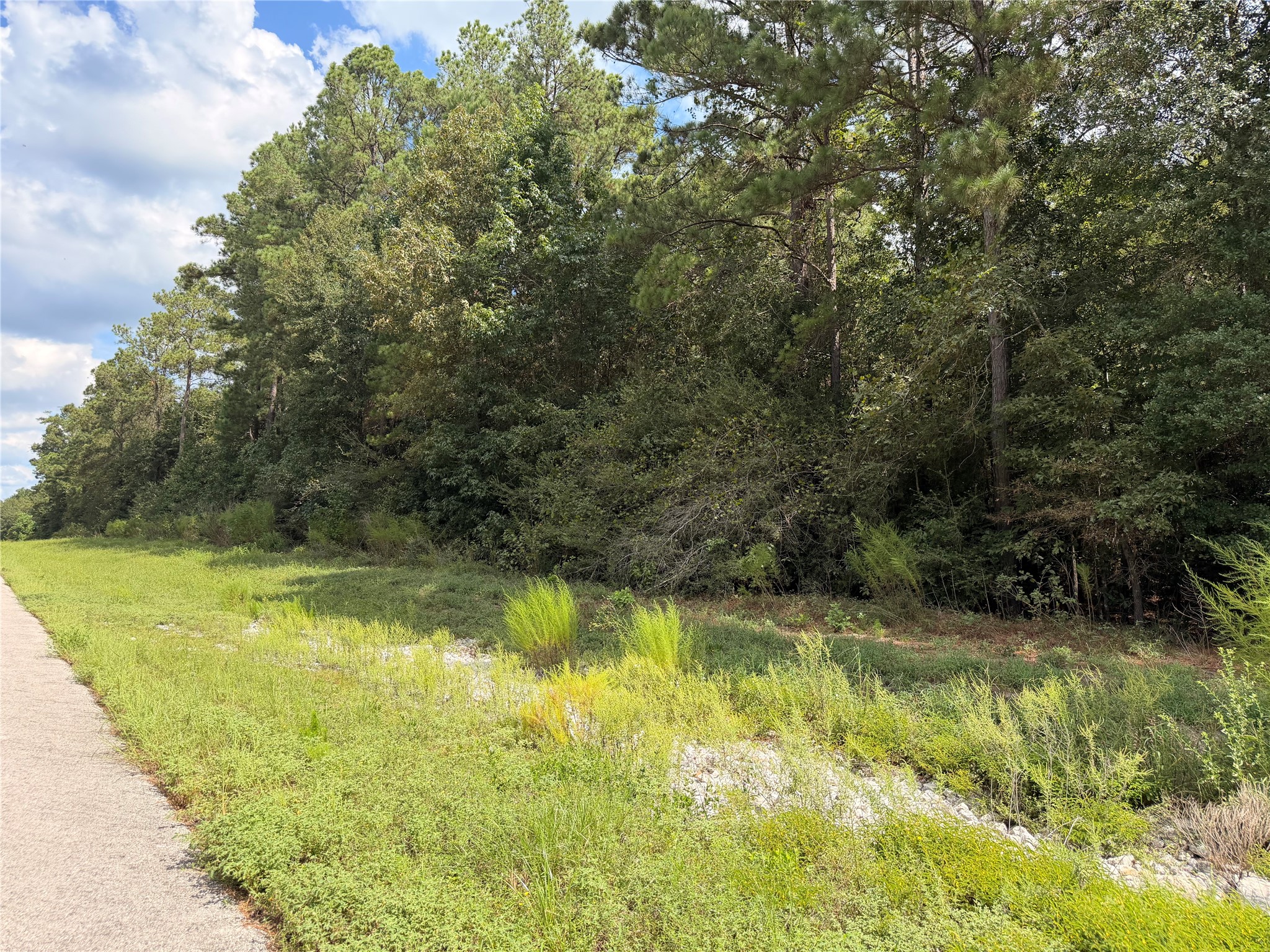 Tbd Handler Road Huntsville, TX 77340 - Photo 6 of 35 Gallery Image 6