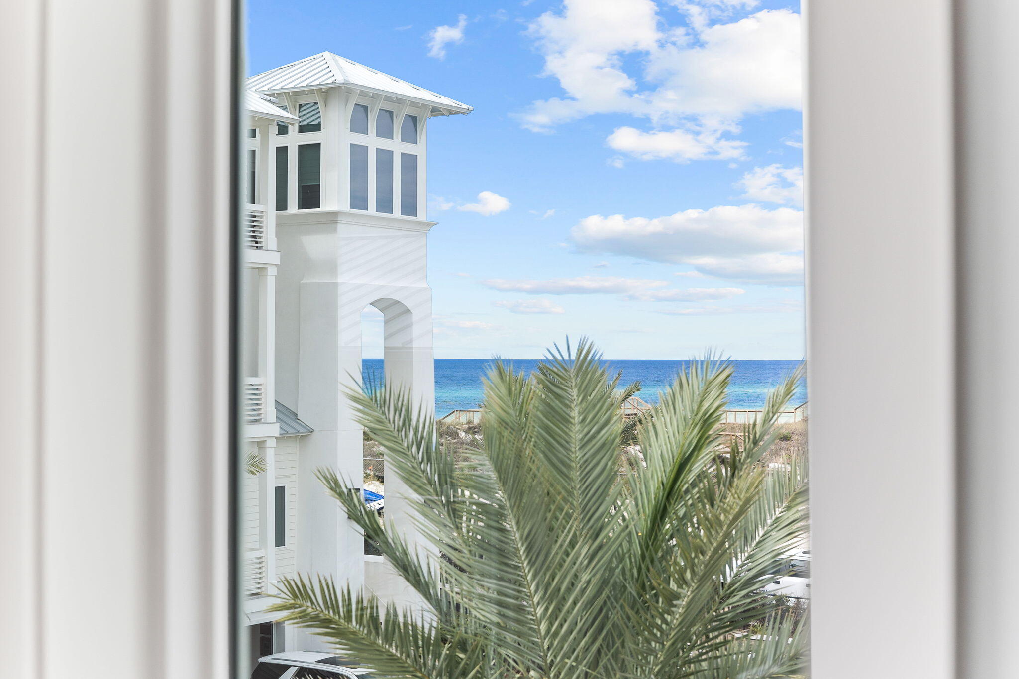 6 Palm Ct Lane Inlet Beach, FL 32461 - Photo 44 of 65 a close up of a plant in a garden