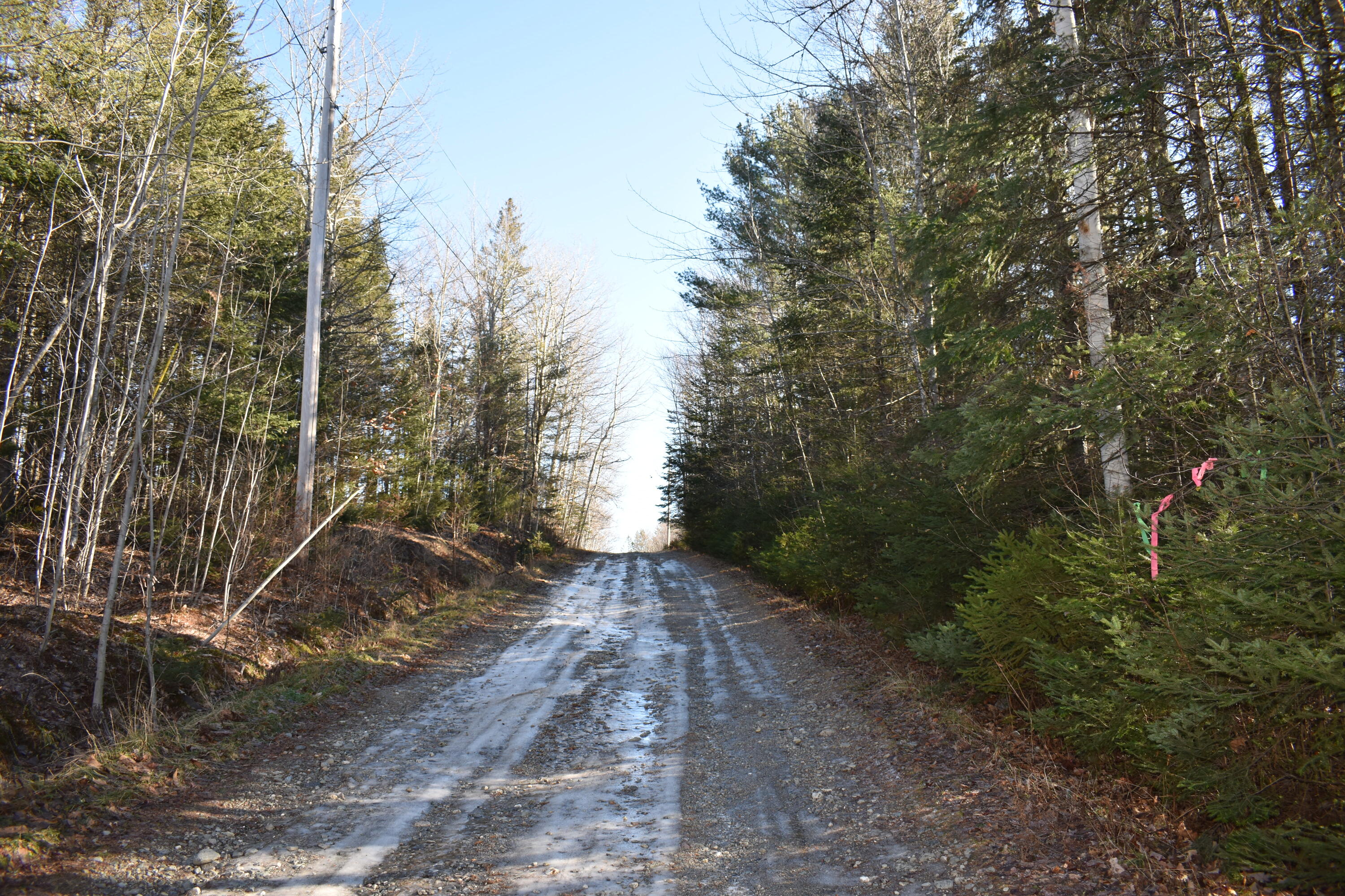 Lot 21-11 Moores Road Springfield, ME 04487 - Photo 4 of 17 DSC_0369