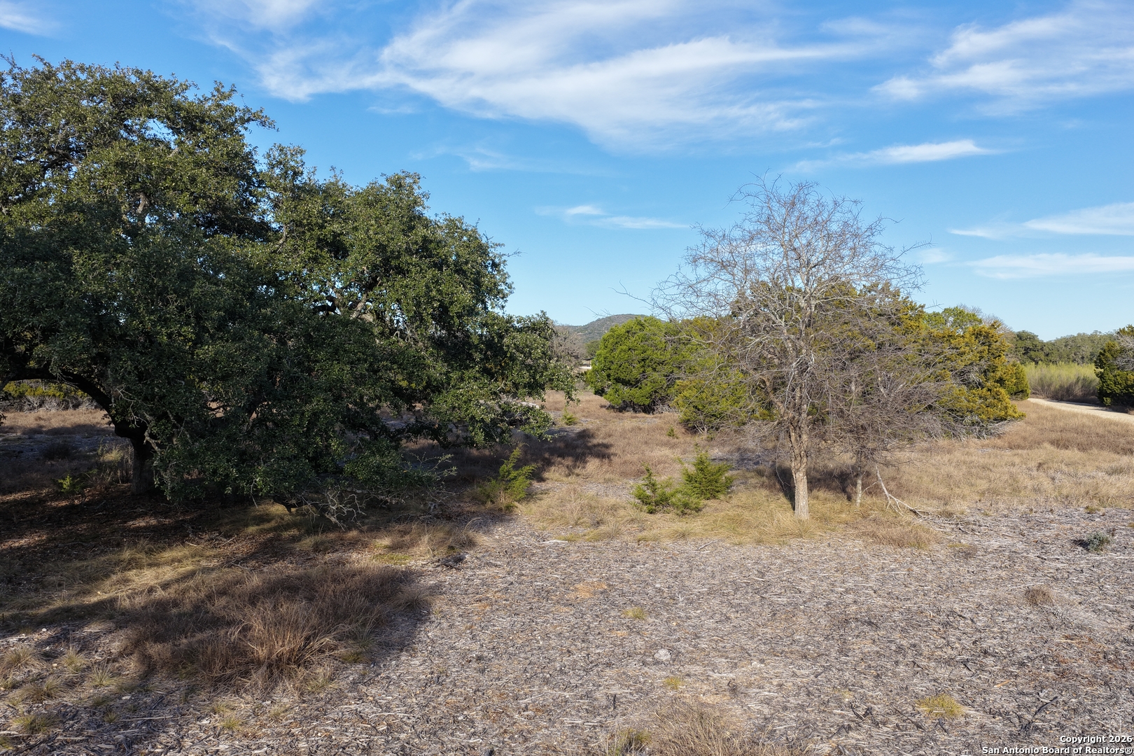 Parcel 1 Rio Lantana Drive Pipe Creek, TX 78063 - Photo 15 of 31 a view of a yard with a tree