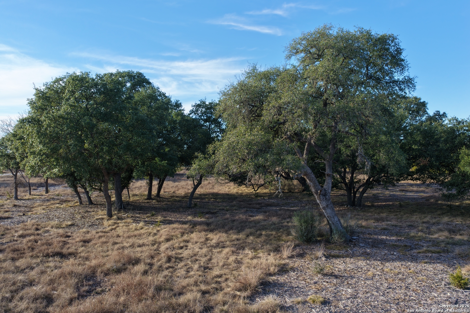 Parcel 1 Rio Lantana Drive Pipe Creek, TX 78063 - Photo 16 of 31 a view of a tree in the middle of a yard