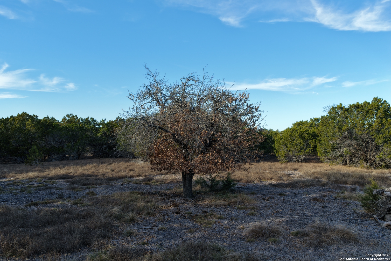 Parcel 1 Rio Lantana Drive Pipe Creek, TX 78063 - Photo 20 of 31 a view of dirt yard with large trees