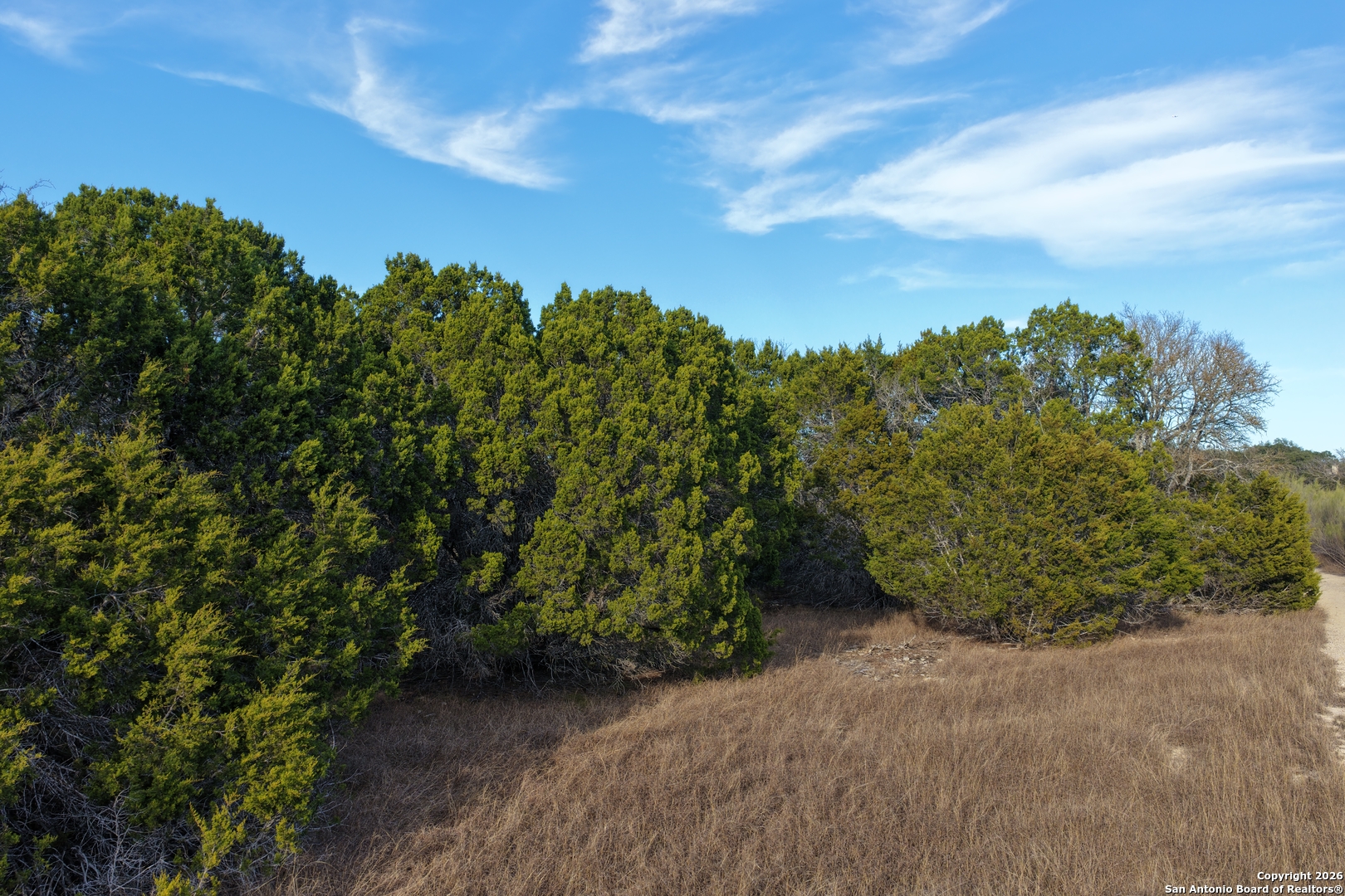 Parcel 1 Rio Lantana Drive Pipe Creek, TX 78063 - Photo 22 of 31 a view of a garden