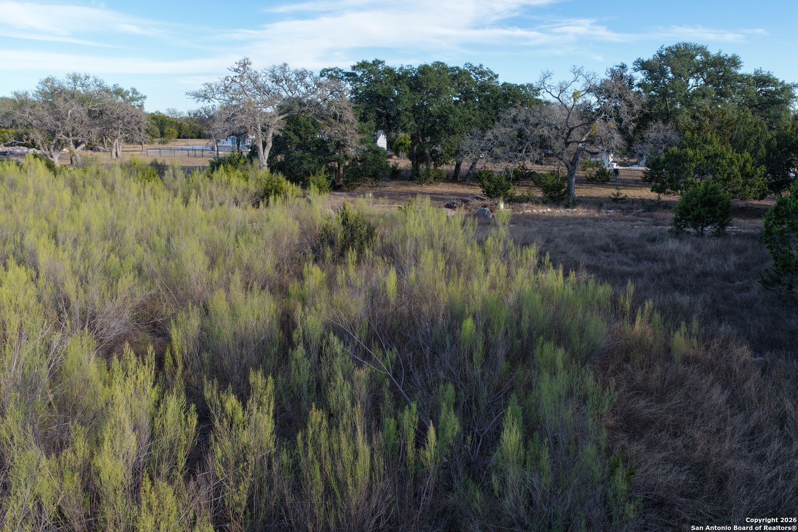 Parcel 1 Rio Lantana Drive Pipe Creek, TX 78063 - Photo 25 of 31 a view of a lush green forest with lots of trees