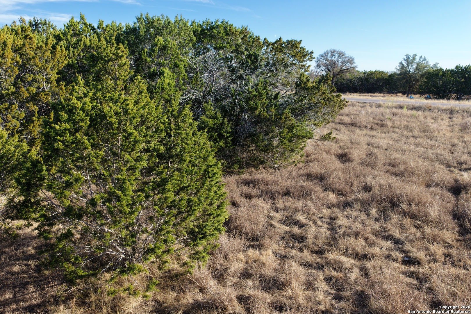 Parcel 1 Rio Lantana Drive Pipe Creek, TX 78063 - Photo 29 of 31 a view of a yard with a tree