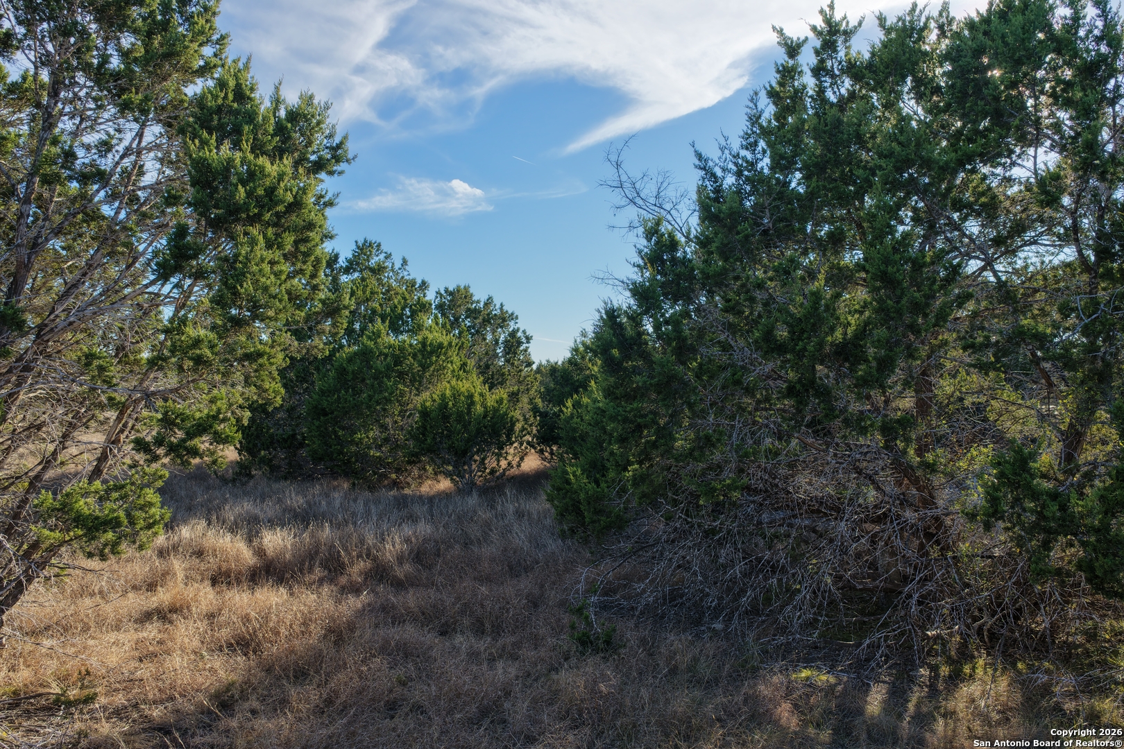Parcel 1 Rio Lantana Drive Pipe Creek, TX 78063 - Photo 30 of 31 a view of a forest with trees in the background