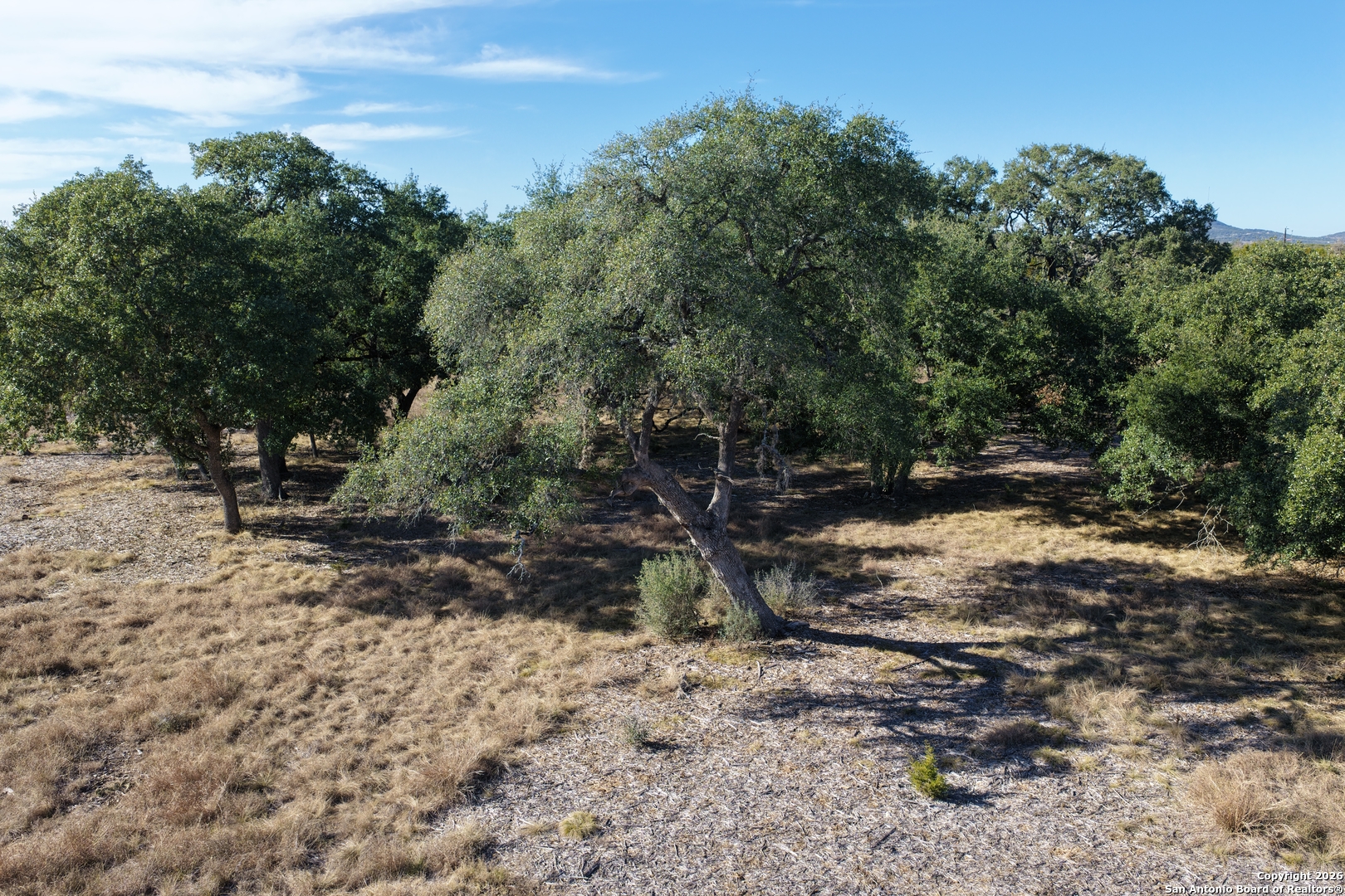 Parcel 1 Rio Lantana Drive Pipe Creek, TX 78063 - Photo 9 of 31 a view of a forest filled with trees