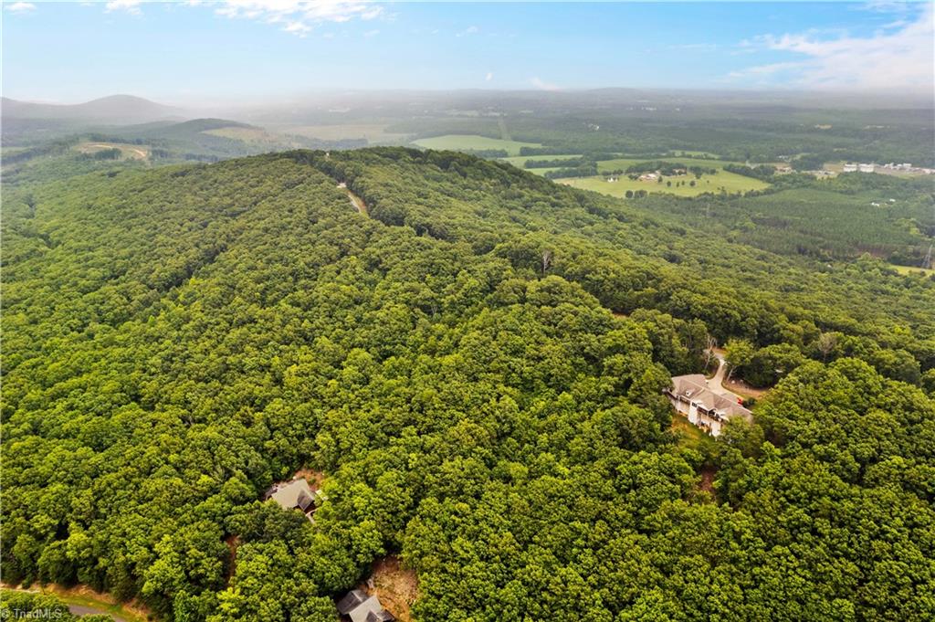 2261 Sierra Trace Road Denton, NC 27239 - Photo 6 of 24