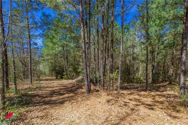 $389,900 | 3708 Highway 507, Coushatta, LA 71019