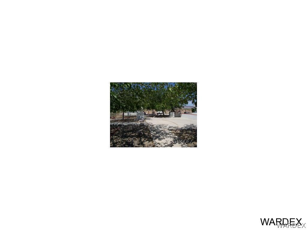 patio with shade trees